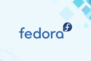 Leia mais sobre o artigo Fedora: Desempenho para Empresas Modernas