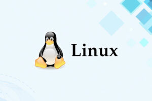 Leia mais sobre o artigo Linux: Potência na Era da Tecnologia Open Source