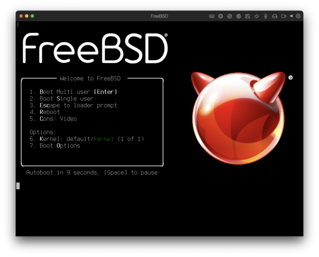 Print de tela do FreeBSD