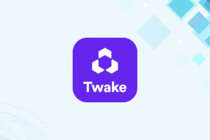 Leia mais sobre o artigo Twake: Colaboração Empresarial