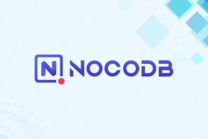 Leia mais sobre o artigo NocoDB: Transformando Bases de Dados em Planilhas